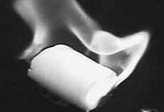 天然气水合物“可燃冰”：下一种替代能源？