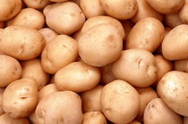 'india's share in global potat